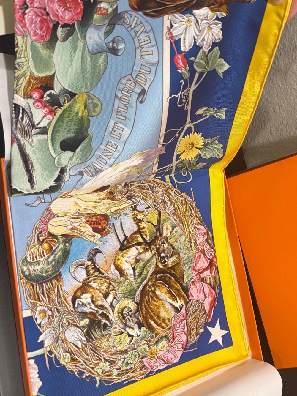 EXTREMELY RARE HERMES Faune et Flore du Texas forever scarf 90 COLLECTOR PIECE - Picture 7 of 10